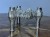 IMG_4141.jpeg