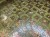 IMG_4611.jpeg