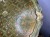 IMG_4612.jpeg