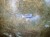 IMG_4616.jpeg