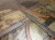 IMG_9564.jpeg