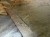 IMG_9565.jpeg