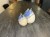 IMG_5013.jpeg