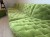 IMG_0621.jpeg
