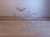 IMG_0954.jpeg
