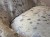 IMG_1003.jpeg