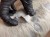 IMG_1008.jpeg
