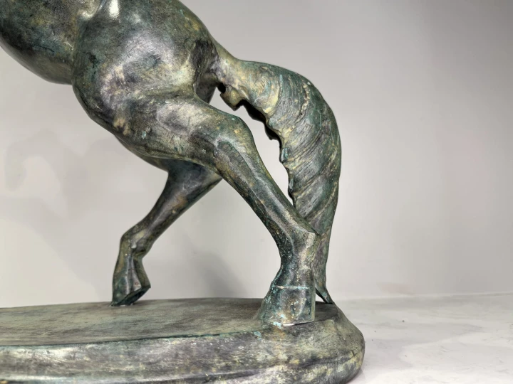 IMG_6877.jpeg
