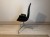 IMG_2230.jpeg