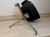 IMG_2234.jpeg