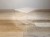 IMG_2261.jpeg