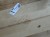 IMG_3559.jpeg