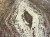 IMG_8906.jpeg