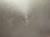IMG_1091.jpeg
