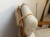 IMG_8154.jpeg